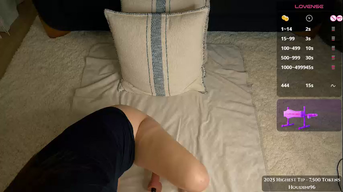 sophie_fennec