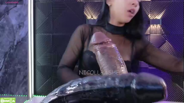 nicollbashel