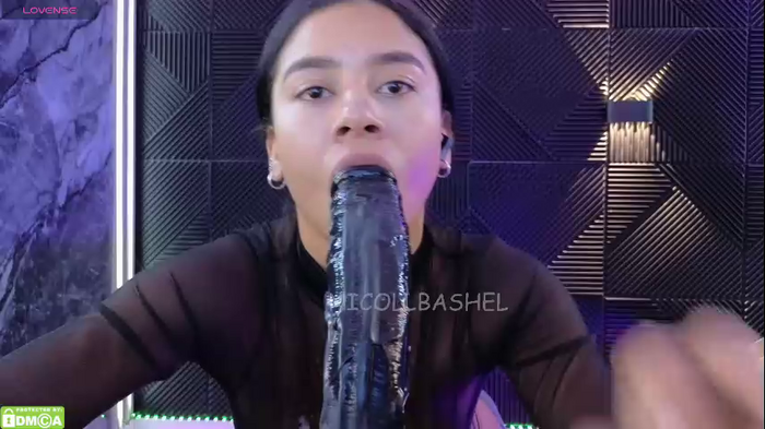 nicollbashel