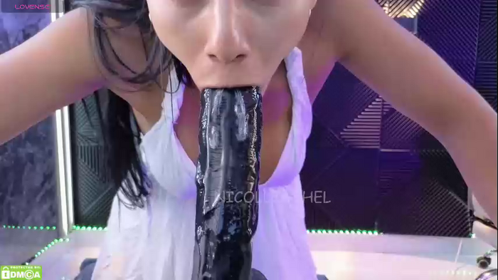 nicollbashel