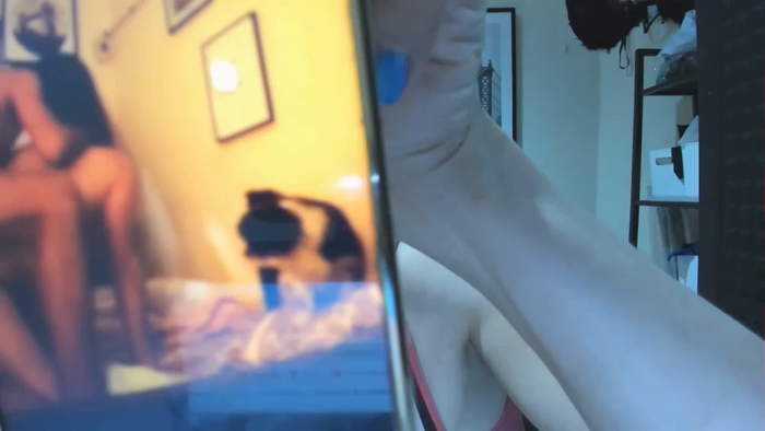 xdreamangel
