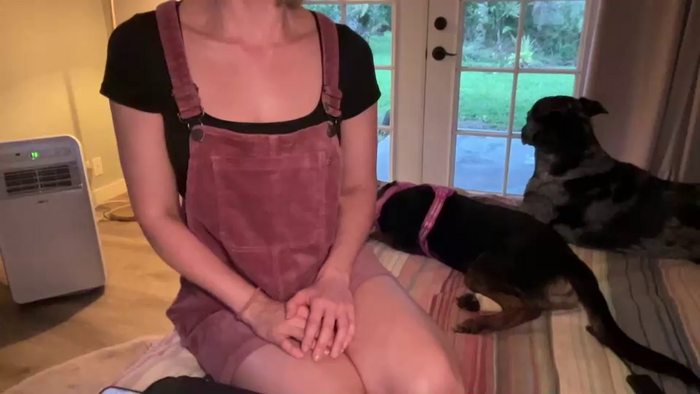 kaileeshy