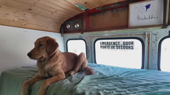 busbuddies