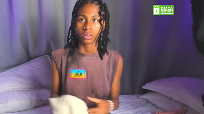 lynx_sun