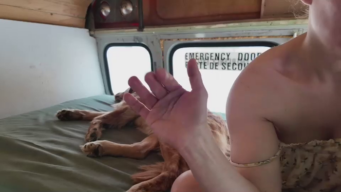 busbuddies