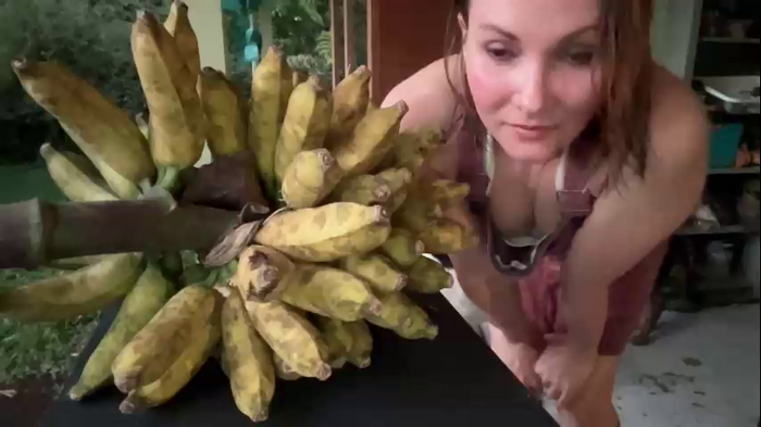 kaileeshy