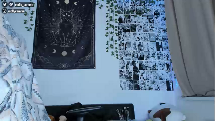 mollycemma