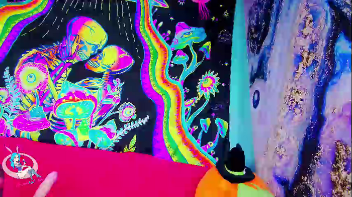 cottontailmonroe