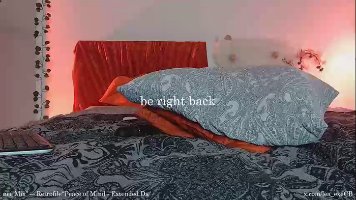 lea_exe