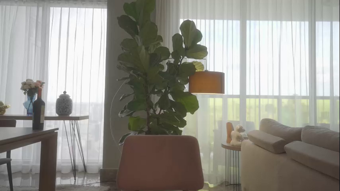 emma_lu1