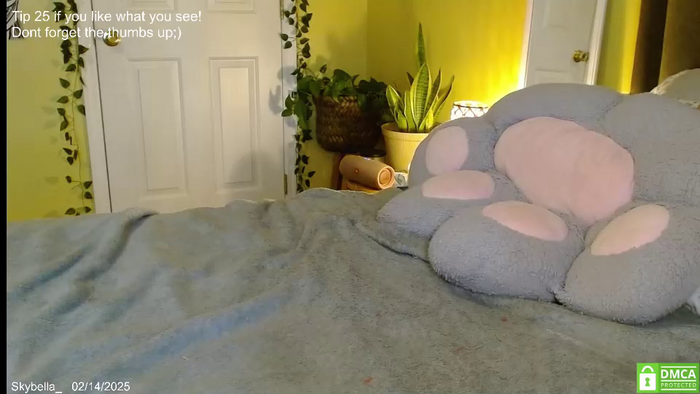 skybella_
