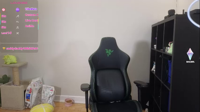 alexa_dream