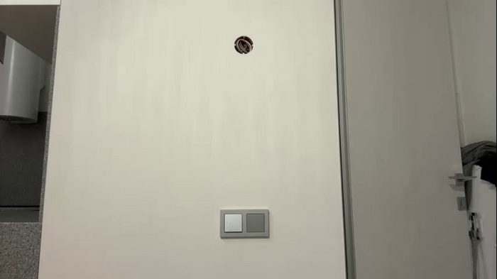 elisa_moon