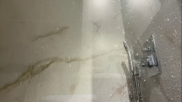 elisa_moon