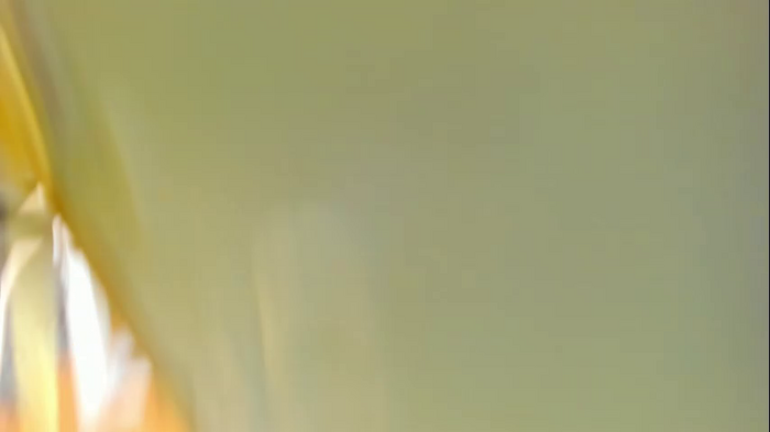 thisisamelia