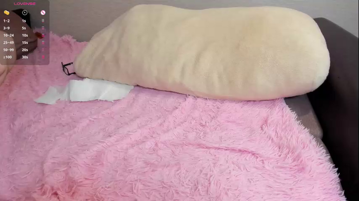evafatcat