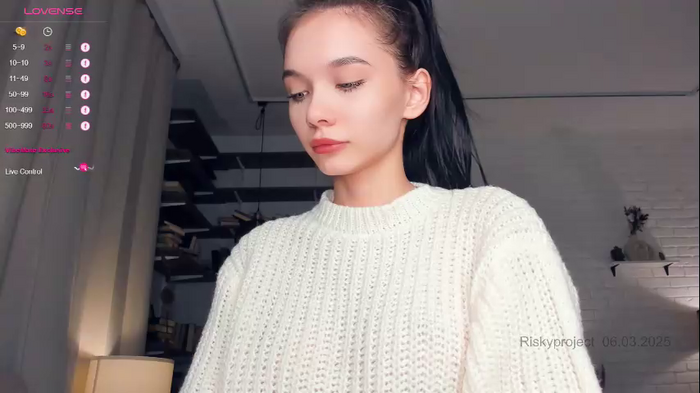 riskyproject