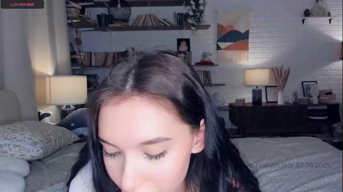 riskyproject