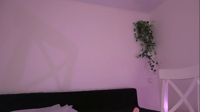 elena_li