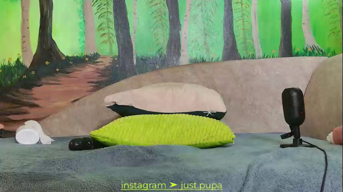 pinkypuppa