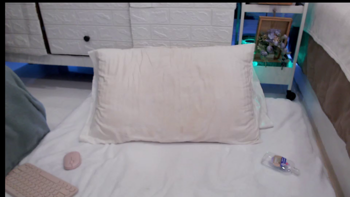 thaidream25