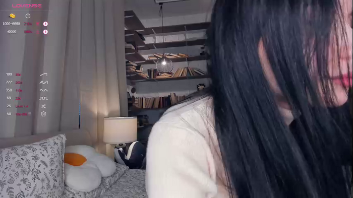 riskyproject
