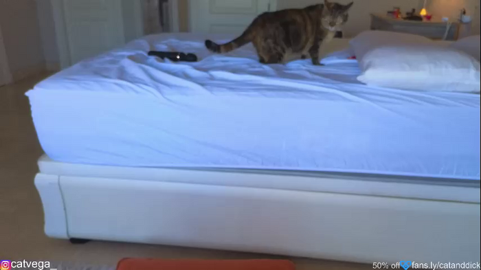 catanddickxxx