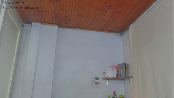 niilaa