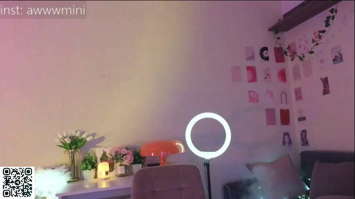 minirini