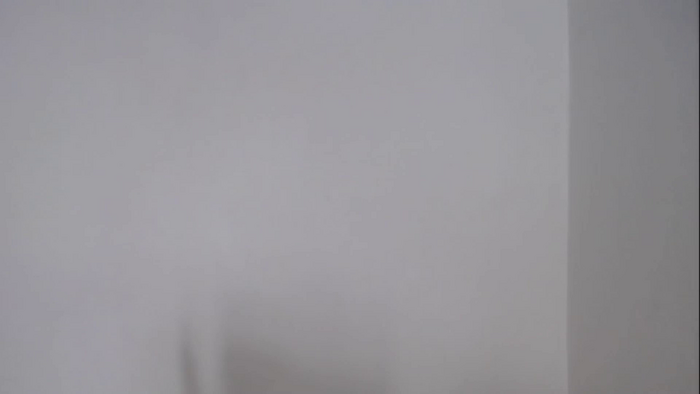 godzillaintokyo