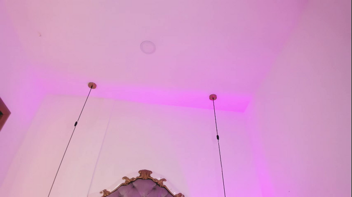 megan_leal1