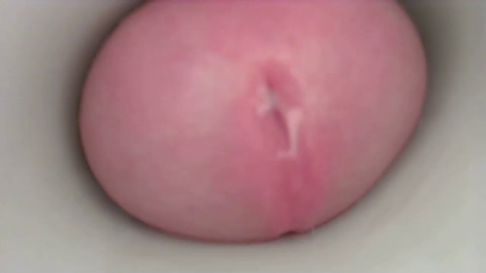 jeffrodgerschaturbat