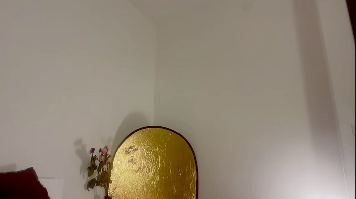 two_trunkx