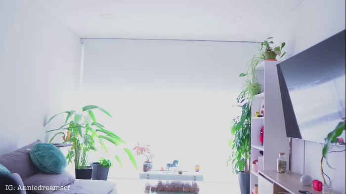 annie_dreams