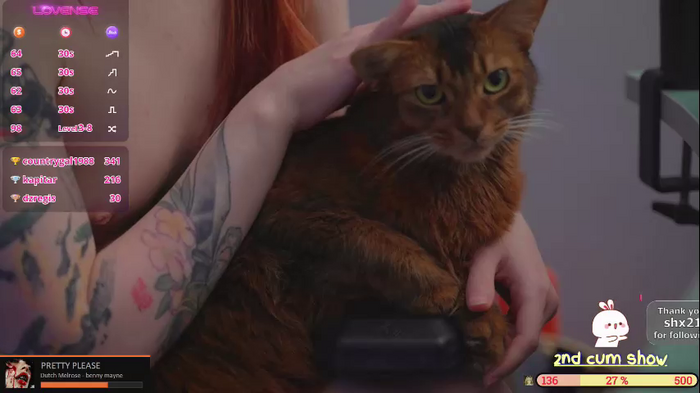glorikitty