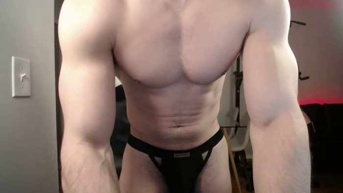 alpha_dominus_king