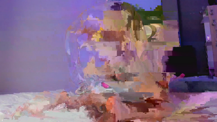 VioletPaket