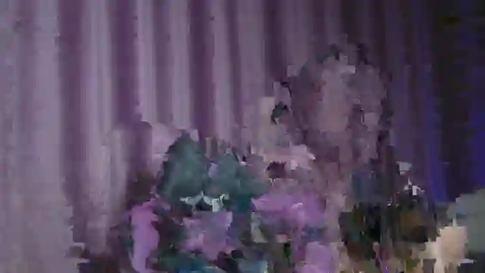 2025/02/15/dreamcam-rachelrave-02-38-02