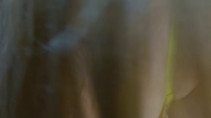 zoey-bell