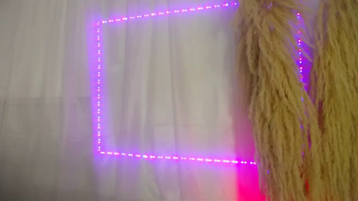 ximena-ferre