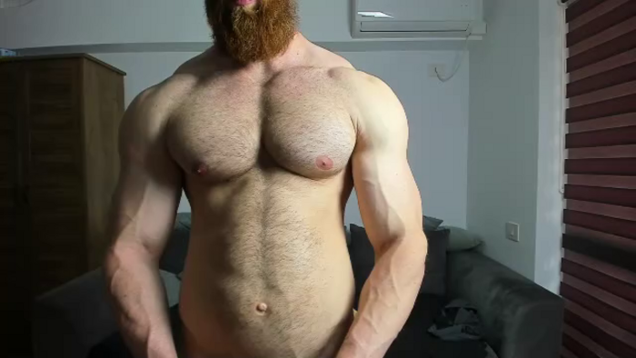 zack-blitz