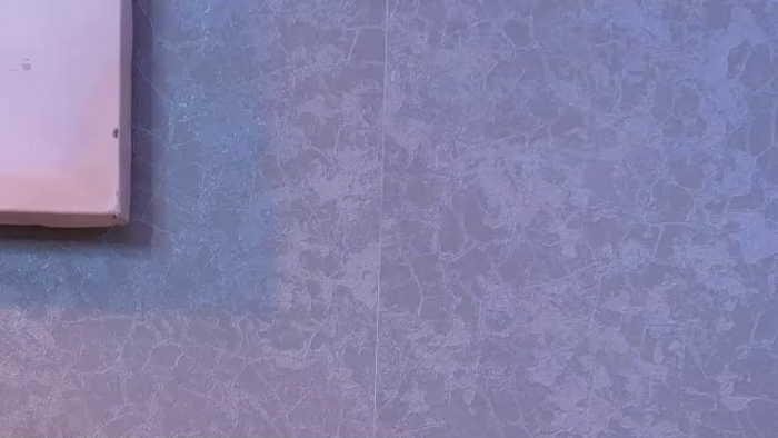 lucia-saanvi