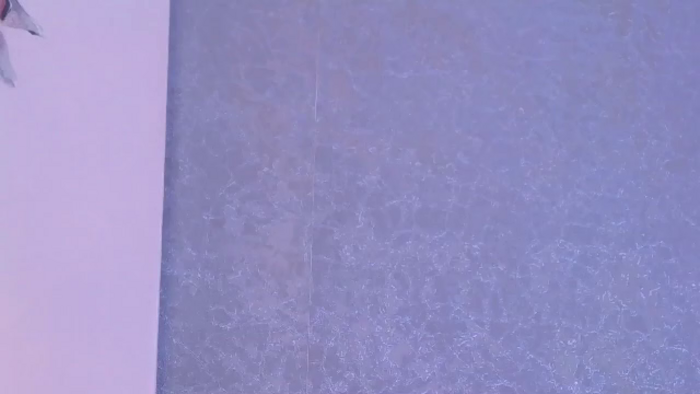 lucia-saanvi