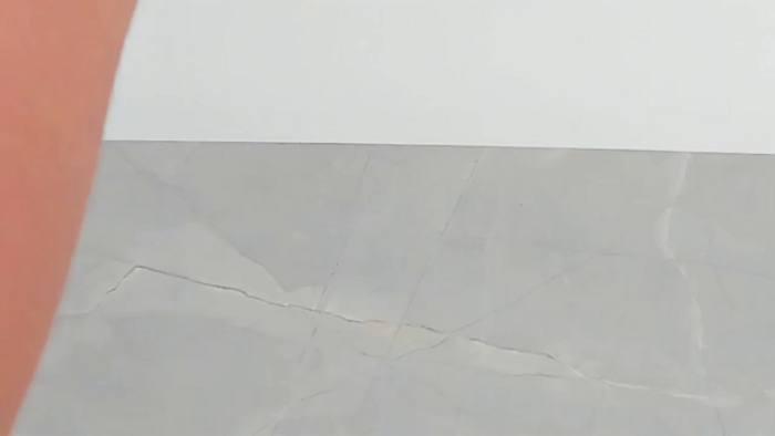 sabrina-palsuon