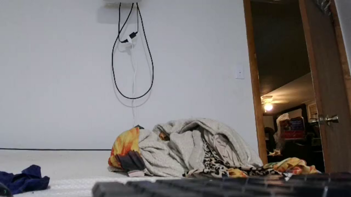 bambi-bi