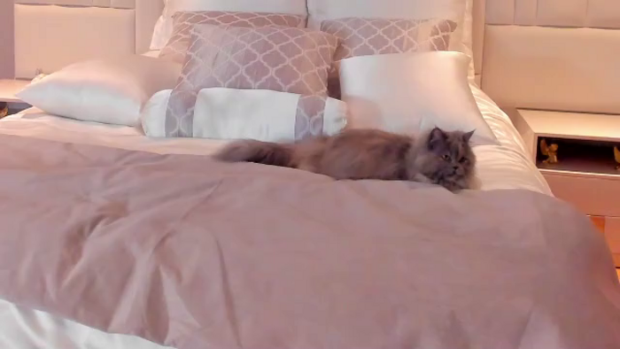 megan-hilton
