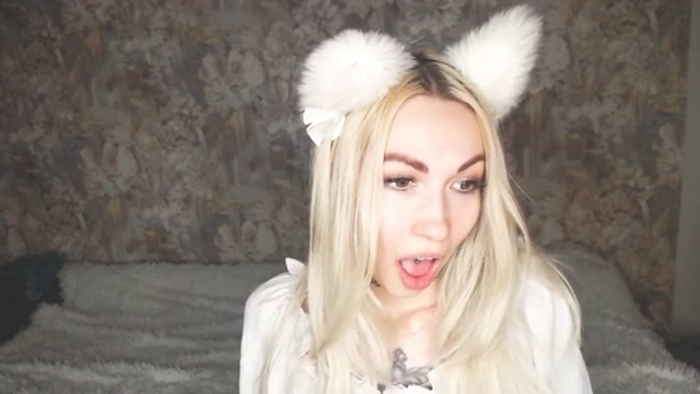 bambi-cash