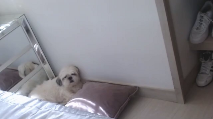 angel-sweety