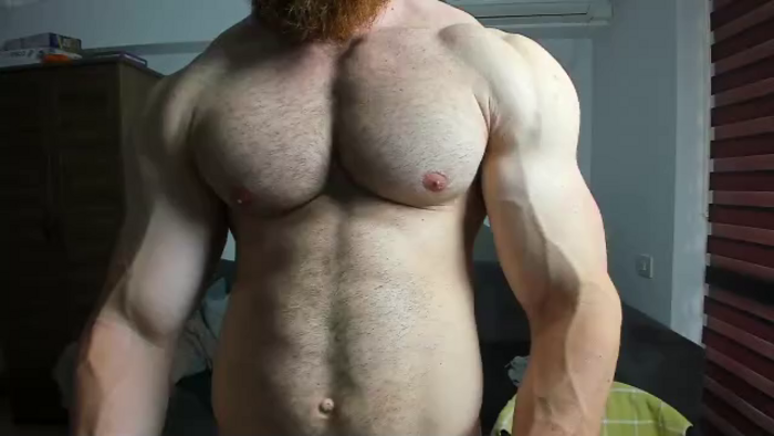 zack-blitz