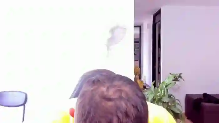 2024/07/07/flirt4free-jackson-gray-16-32-28